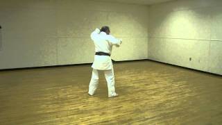 Kata_Sanchin Shorinjiryu "Hisataka" Kenshin