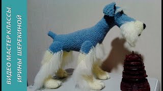 Как связать собаку Цвергшнауцер, ч.1.  Magnificent dog Miniature Schnauzer, р.1. Amigurumi. Crochet.