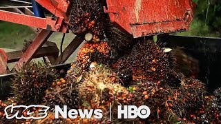 Norway Learned To Stop Eating The Rainforest (HBO)