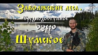 Заволжские леса. Поход на труднодоступное озеро Шумское (Full HD)