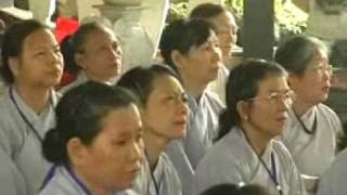 Vấn đáp: Thiền tịnh song tu - Phần 01