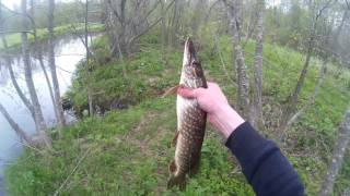 Ловля на летние жерлицы (висули). Река Кать. Рыбалка с Денчиком. summer imitation fish