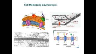Nanomaterials Webinar : Biomedical Investigation Methods and Nanomaterials