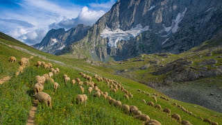 Kashmir Great Lakes - Trek - Day 4