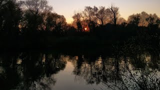 Интересная забытая снасть на щуку и окуня.