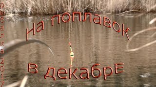 рыбалка в декабре на поплавок по открытой воде