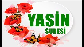 Yasin Suresi Tamamı - Okunaklı ve Takipli - Yasin Oku / Yasin Dinle / Kur'an-ı Kerim