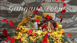 Gangaur Pooja - Rajasthani festival/ Indian Customs / गणगौर पूजा