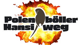 Polenböller "Hansi" weg - Petition gegen privates Feuerwerk - StreamHighlights