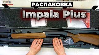 Ружья IMPALA Plus. Новые расцветки и комплектации полуавтоматических инерционных ружей  IMPALA Plus.