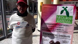 ¿Que le pasó al Dr Briviesca al consumir hoja de Estevia?