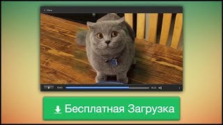 БЕСПЛАТНЫЕ ФУТАЖИ ДЛЯ СОЗДАНИЯ ВИДЕО КОНТЕНТА