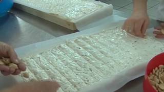 EMILIA-ROMAGNA: Imprese femminili, leggera flessione ma boom nei servizi | VIDEO