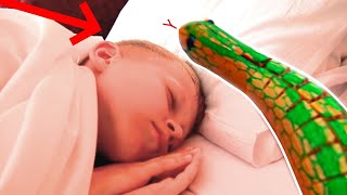 Змея в Отеле или ИГРАЕМ в ПРЯТКИ со Змеёй? Pretend play hide and seek in our Hotel!