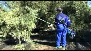 Γάντζος δονητής της Campagnola