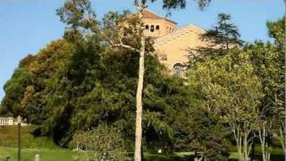 My Los Angeles Experience