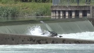 BOOTSUNGLÜCK AUF DEM RHEIN: Suche nach Mädchen wird fortgesetzt