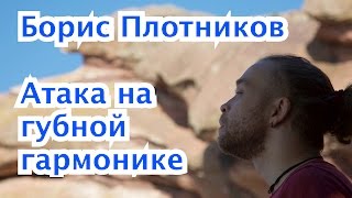 Как играть на губной гармошке: атака