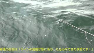 ティップランエギング「深い水深でもわかる着底判断法」