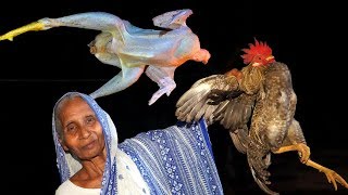 DESHI MURGI CURRY !!! COUNTRY CHICKEN Prepared by our Grandmother in Village Style