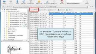 Система управления НСИ Semantic 1/1
