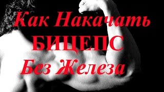 Как накачать бицепс без железа