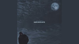 Одинокий волк