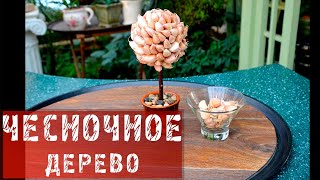 234  Чесночное дерево для украшения кухни.