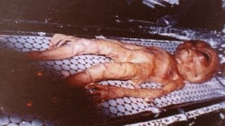Инопланетяне действительно существуют. Неопровержимые доказательства!