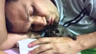 Слепой котенок
