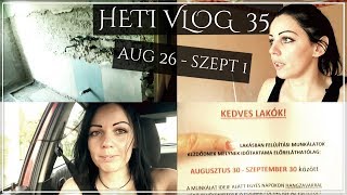 HETI VLOG #35 ➤ VISZLÁT SYNCUMAR, LAKÁS ROMBOLÁS, FUVAROZÁS, MERCURY MARKET ➤ 2019
