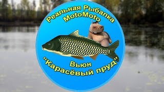 Как поймать Вьюна на Карасёвом пруду | Реальная Рыбалка