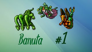 Poradnik Tibia | Banuta #1 (SS & Medusa Task)