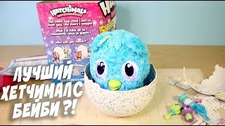 HATCHIBABIES Хетчибейбис Яйцо Сюрприз Малыш Hatchimals Хетчималс Бейби