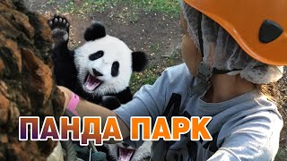 Панда парк в Измайловском парке. Как я прошла все уровни по очереди! #алисаактриса #пандапарк