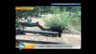 Медведь задрал охотника в Усть-Кутском районе