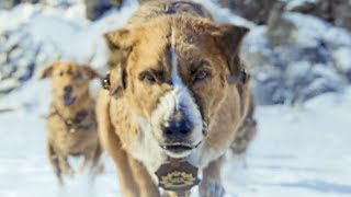 Зов предков / The Call of the Wild ЛАВИНА (2020) Харрисон Форд, приключенческое кино