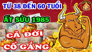 Tử Vi 2022 Ất Sửu 1985 Cả Đời Cố Gắng Hậu Vận Giàu Sang, Tiền Bạc Kéo Về Ùn Ùn Cực Giàu