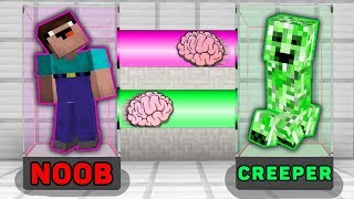 Minecraft NOOB vs PRO vs CREEPER : BRAIN EXCHANGE! NOOB BECAME a CREEPER in Minecraft! Animation!