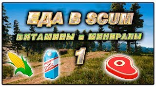 ЕДА ВИТАМИНЫ и МИНЕРАЛЫ 1 | SCUM | ГАЙД
