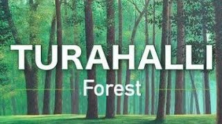 TURAHALLI FOREST BANGALORE|BENGALURU
