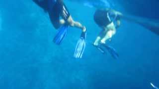 РИФЫ ОСТРОВА ТИРАН, Шарм Эль Шейх, Египет  REEFS Tiran Island, Sharm El Sheikh, Egypt