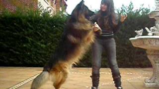 Draco 13-12-2010