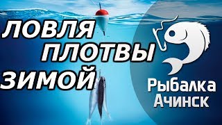 ловля плотвы зимой озеро большое