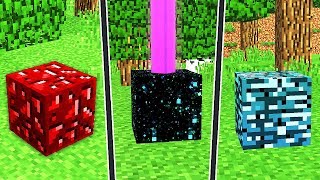 10 SECRET/HIDDEN ITEMS IN MINECRAFT! (Minecraft Pocket Edition)