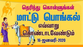 Mattu Pongal Celebrations in Tamilnadu | தமிழரின் மாட்டு பொங்கல் வழிபாடு | Facts and Importance