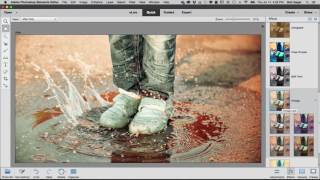 Adobe Photoshop Elements 15 - Filters and Effects - Cherri International