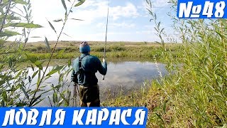 Ловля Пузатых карасей в Болоте. Карась на поплавок в Сентябре