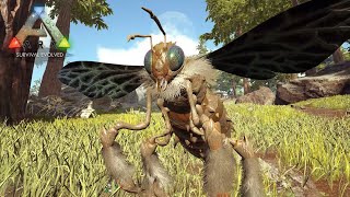 超巨大なハチ「イキオオミツバチ」を捕まえる！ - ARK Survival Evolved ゆっくり実況