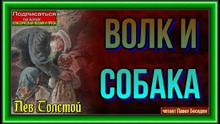 Волк и собака  —Лев Толстой   — читает Павел Беседин